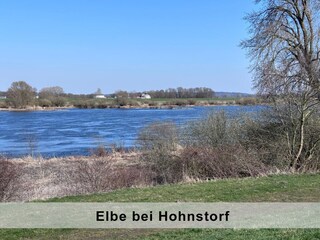 Elbe bei Hohnstorf
