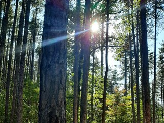 Ferienhaus Bulgarien Umgebung 16