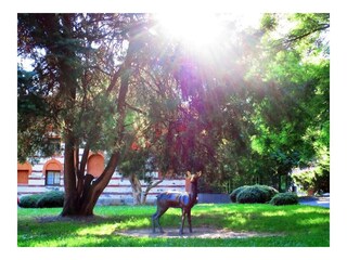 Kjustendil, Bulgarien