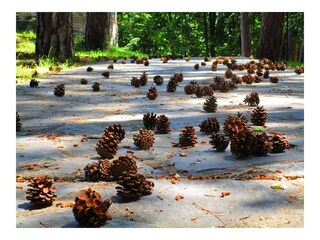 Kjustendil, Bulgarien