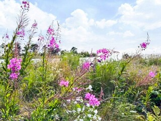 Holiday house Kristinehamn Outdoor Recording 20