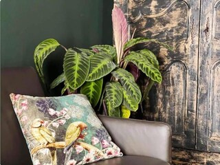 Apartment Spa Ausstattung 7