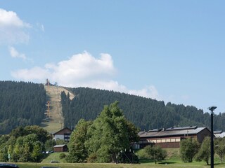 Apartment Mildenau Umgebung 34