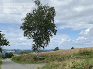 Apartment Mildenau Environment 40