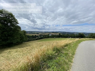 Apartment Mildenau Environment 42