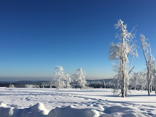 Holiday house Olsberg Environment 33