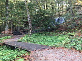 Appartement Besse-et-Sainte-Anastaise Environnement 21