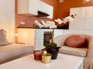 Apartment Besse-et-Sainte-Anastaise Features 14