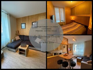 Apartment Besse-et-Sainte-Anastaise Ausstattung 8