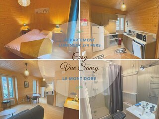 Apartment Besse-et-Sainte-Anastaise Features 6