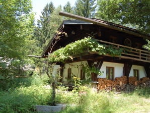 Ferienhaus Dürrwieser Waldhaus - Dürrwies 4 - Bischofsmais - image1