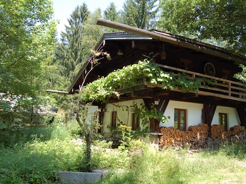Ferienhaus Dürrwieser Waldhaus - Dürrwies 4