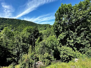 Apartment Besse-et-Sainte-Anastaise Outdoor Recording 2