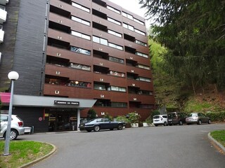Appartement Besse-et-Sainte-Anastaise Environnement 16