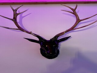 Apartment Besse-et-Sainte-Anastaise  21