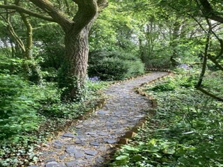 Casa per le vacanze Stamford Ambiente 30