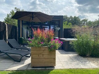 Vakantiehuis Coevorden Buitenaudio-opname 7