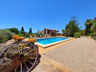 Garten-und Poolansicht