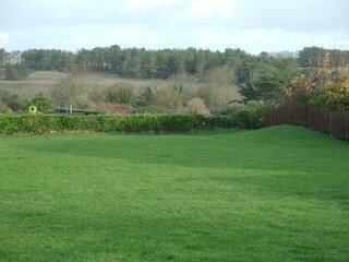 Blick vom Wohnzimmer auf das Naturschutzgebiet