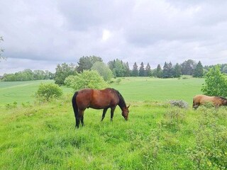 Ferienhaus Järlåsa Außenaufnahme 3