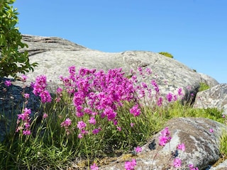Ferienhaus Lysekil  22