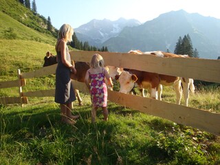 Appartamento per vacanze Schröcken Registrazione all'aperto 8