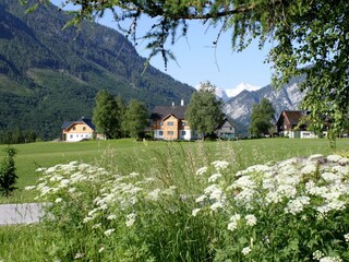 myNests-Stanglhof-Apartments-Ausseerland-Bad-Ausse