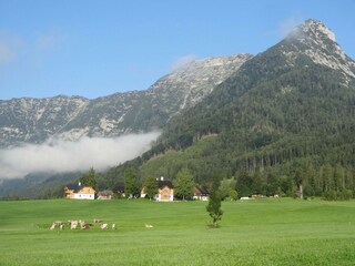 myNests-Stanglhof-Apartments-Ausseerland-Bad-Ausse