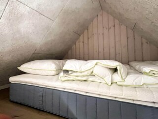 Ferienhaus Skagen  29