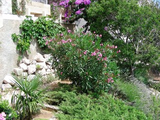 Appartamento per vacanze Drage, Adria Registrazione all'aperto 3