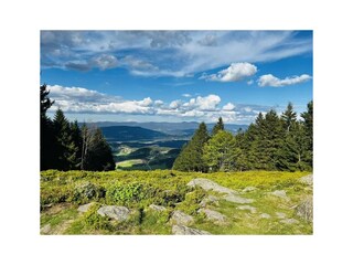 Ausblick vom Pröller