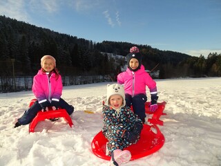 Schlittenhang vor der Fewo