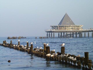 Seebrückenkopf Heringsdorf