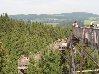Baumkronenweg Kopfing