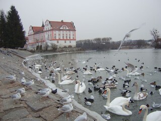 Schloss Neuhaus im Winter