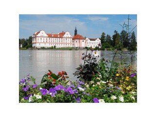 Blick von Schärding auf Schloss Neuhaus