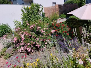 Treppe zum Apartment