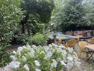 Verwunschene Hinterhöfe