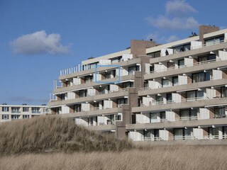 Ferienhaus Egmond aan Zee Außenaufnahme 21