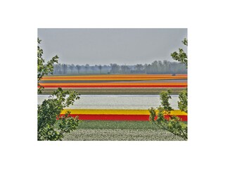 Ferienhaus Egmond aan Zee Außenaufnahme 20