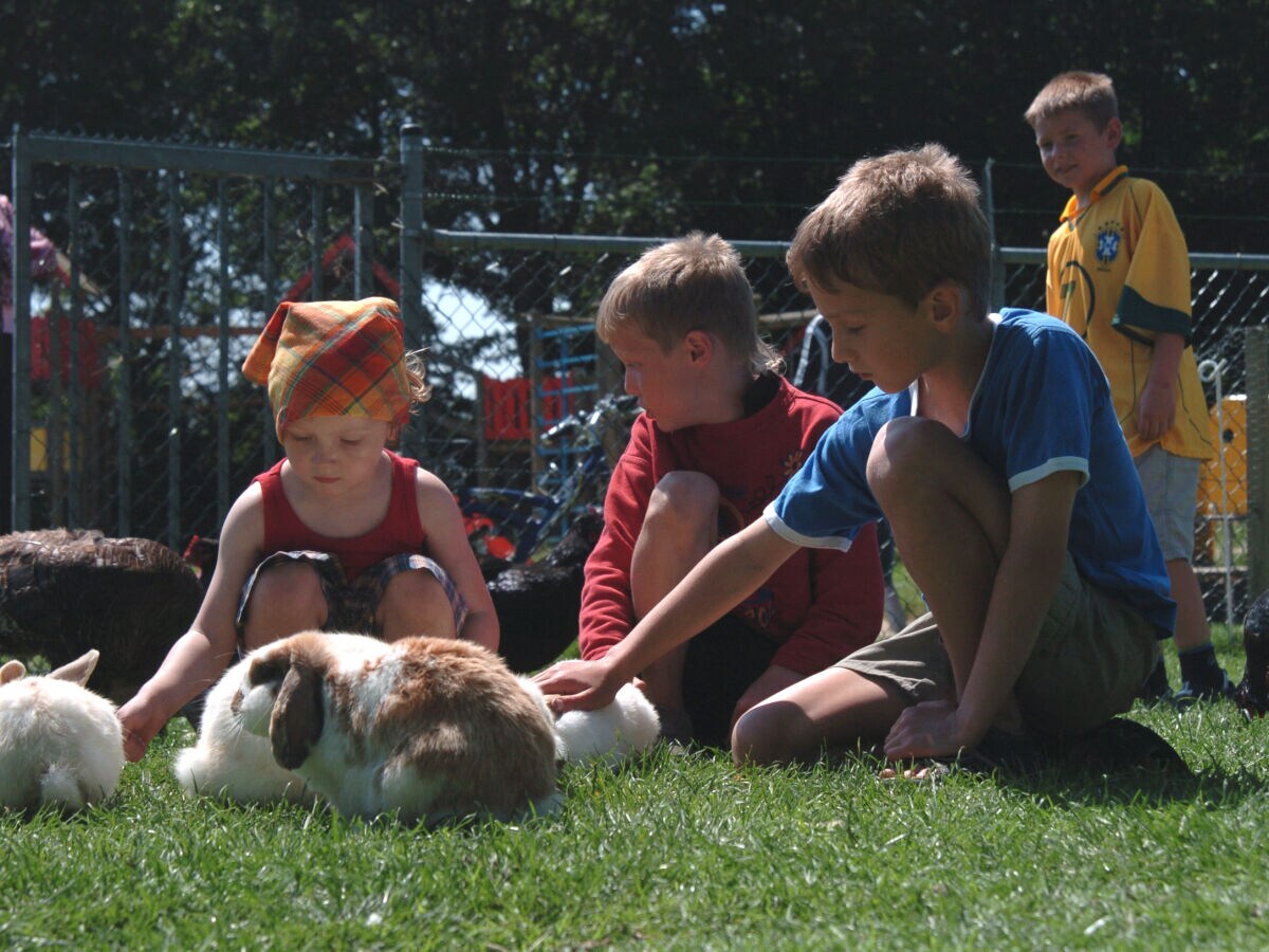 Streichelzoo im Park mit u.a. Ziegen und Kaninchen,