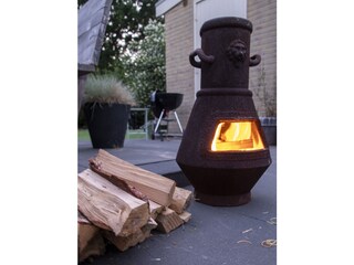 Ferienhaus Sint Maartenszee Außenaufnahme 6