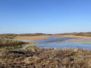 Ferienhaus Sint Maartenszee Außenaufnahme 15