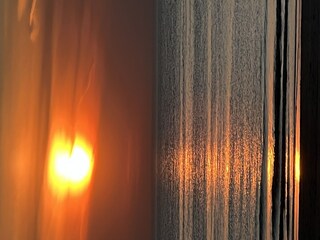 Ferienhaus Sint Maartenszee Außenaufnahme 19