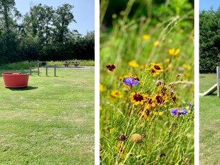 Holiday house Sint Maartenszee Outdoor Recording 14