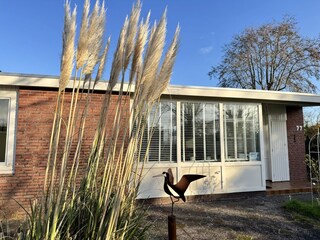 Ferienhaus Sint Maartenszee Außenaufnahme 14