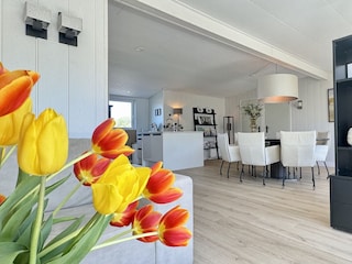Ferienhaus Sint Maartenszee Außenaufnahme 20