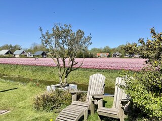 Ferienhaus Sint Maartenszee Außenaufnahme 24