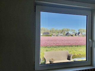 Ferienhaus Sint Maartenszee Außenaufnahme 23