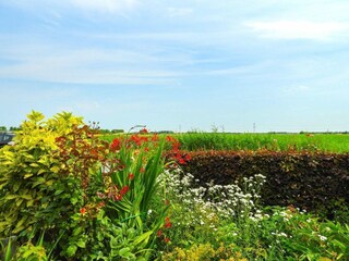 Holiday house Hoek Outdoor Recording 19